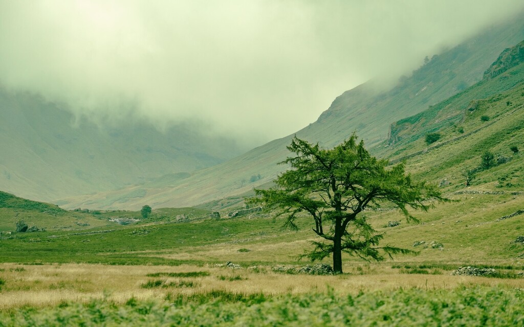 DrKippy's tweet photo. Langstrath Lone tree

#langstrathvalley #langstrath #cumbria #lakedistrict #lakedistrictnationalpark #cumbriaphotography #lakedistrictphotography #fujixt3 https://t.co/lOzWsFWkDo https://t.co/6txEF35wV4