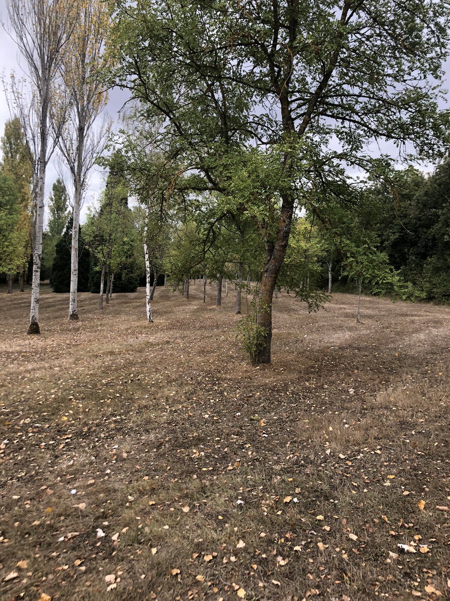 d_ilekizkur's tweet photo. Este es el estado de los jardines del anillo “verde”en la zona de Armentia en Vitoria-Gasteiz gracias a las medidas NEGLIGENTES del ayuntamiento @vitoriagasteiz y de los proyectos partidistas e innecesarios del ególatra @gorka__urtaran. Las campas de Olarizu igual de descuidadas https://t.co/7Z2F9KKGFG