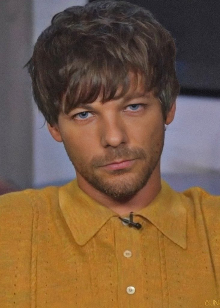 awayfromhomerry's tweet photo. louis coming onto twt to thank us and seeing harry's ass all over the tl https://t.co/nFe5LpJ42x