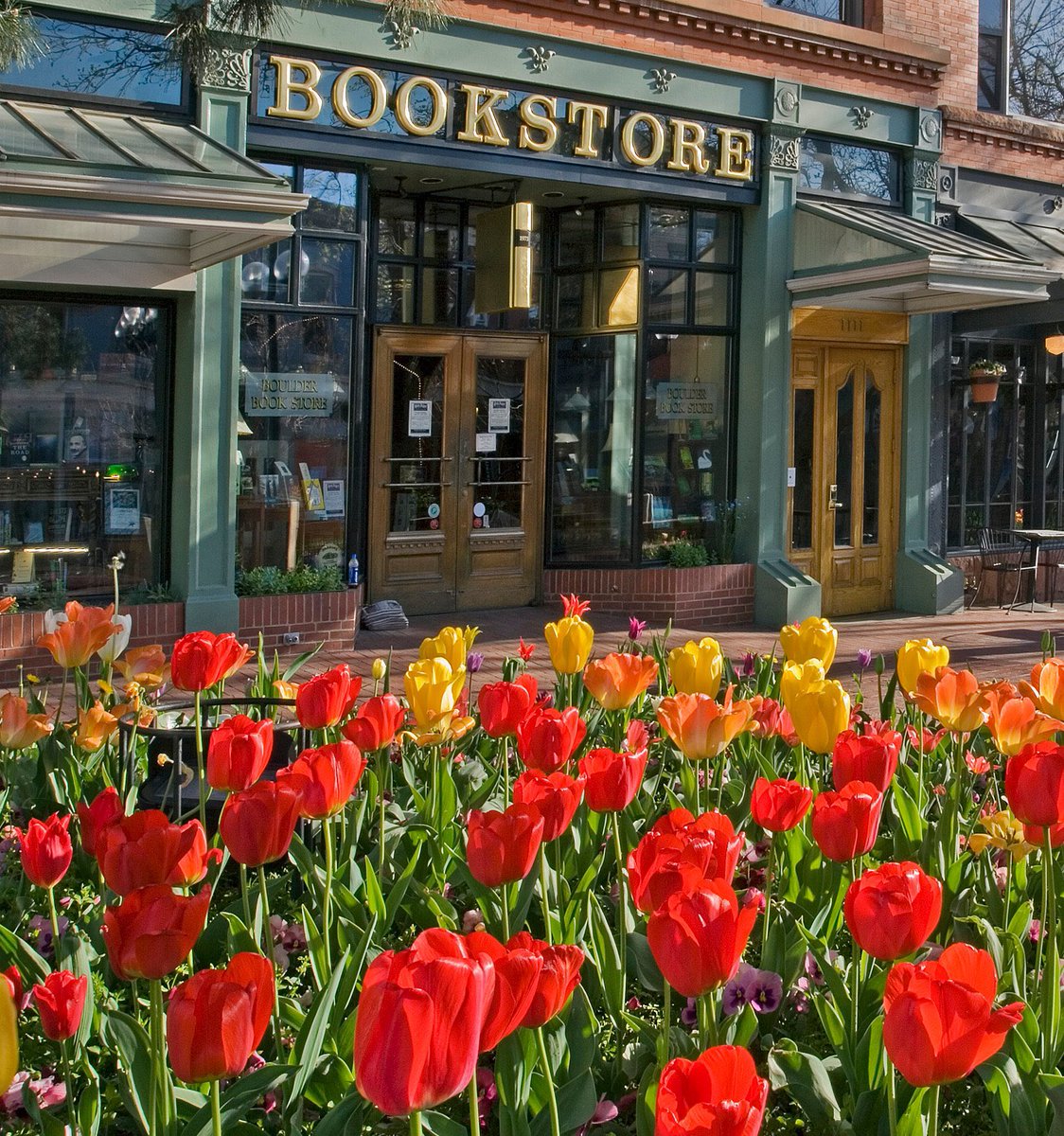 HiHealthyEarth's tweet photo. So pleased to share that Healthy Earth is now available for purchase at the incredible Boulder Bookstore. 
The book empowers kids with more than 60 practical tips on #sustainability. It’s easy to learn thanks to custom &amp; hand-drawn illustrations. 
#childrensbook #climateeducation https://t.co/MjTA357LJW