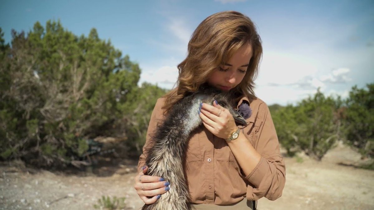 HEY @alveussanctuary has a new YouTube channel and the second video has been posted! @station3media produces some really beautiful things. GO WATCH💚

youtube.com/watch?v=4_ZrMe…