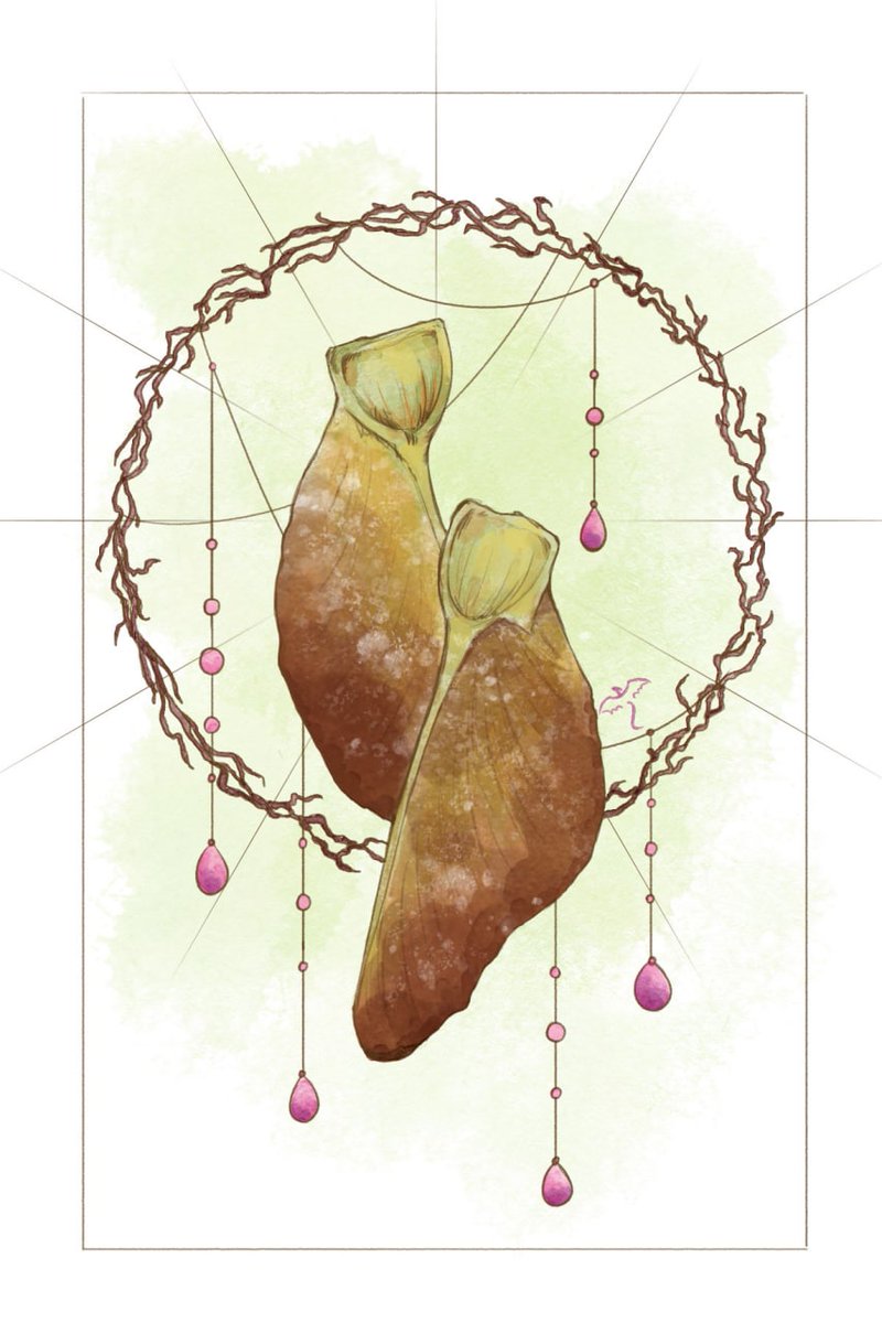 ArtNaola's tweet image. #ArtistOnTwitter #mapleseeds