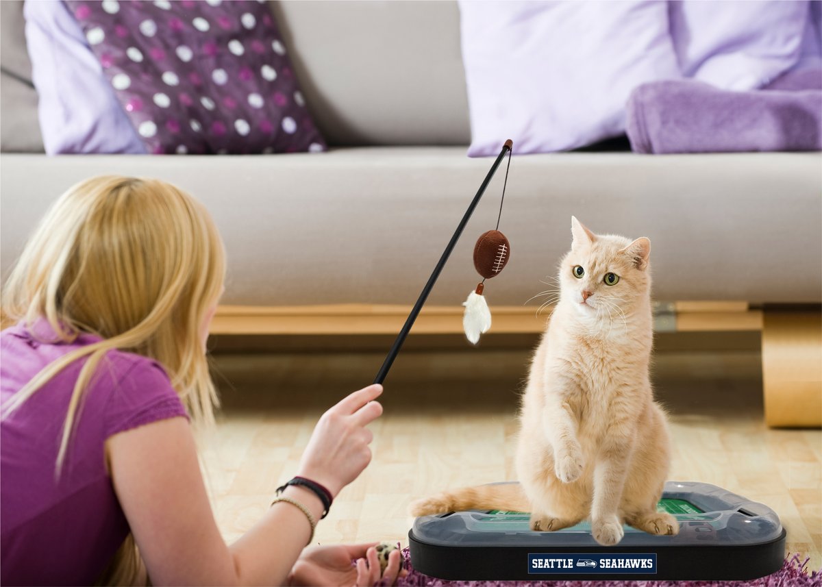 PetsFirstCompa1's tweet photo. The #PetsFirst 6-in-1 #CatScratch #Toy is the #Best investment you'll make for your #Kitty!
- A REVERSIBLE #ScratchBoard with a #FootballField felt design.
- A Plush Football filled with #Catnip with hanging feathers.
- A #CatBall around the #Field with a bell.
And much more... https://t.co/Eosp3fVkJL