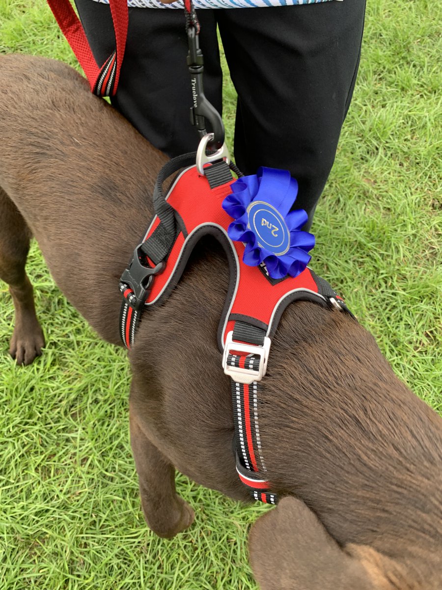 ThatDogUK's tweet photo. Great to see so many of you this weekend in London and welcome you to our That Dog family! #dogs #DogsOnTwitter  #Truelovedog #dogharness #dogsuk #dogcollar @ThatDogUK https://t.co/qCkA6sQuTA