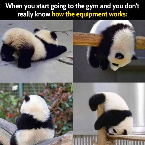 WholesomeMeme's tweet photo. https://t.co/Kuos4sOSgL
