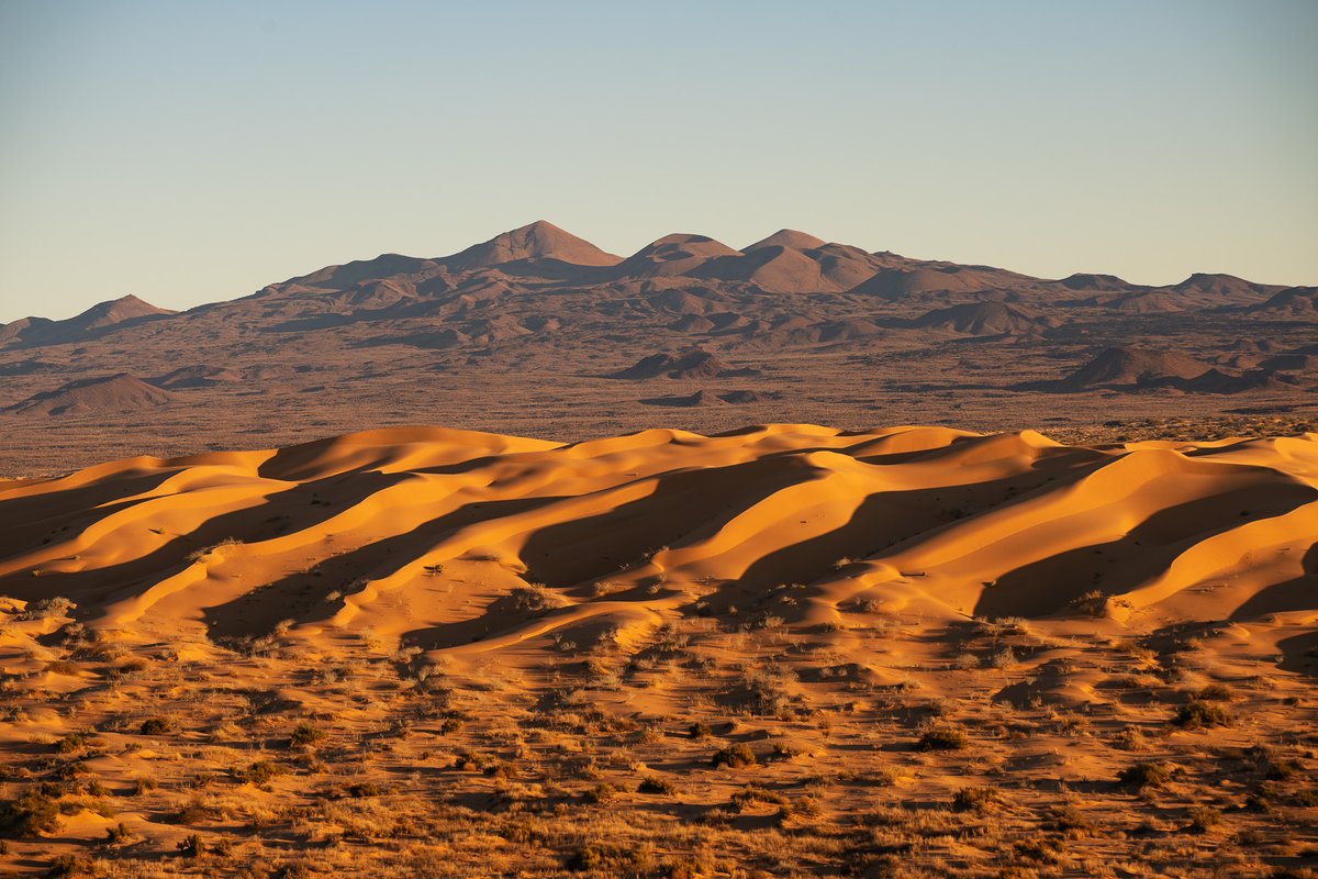 CDDesierto's tweet photo. El Pinacate es el corazón y alma del Desierto de Sonora.

Declarado Patrimonio Natural de la Humanidad por la UNESCO en 2013. La CFE construirá una línea de transmisión eléctrica, destruyendo la belleza escénica. 
Por favor firma y comparte la petición
https://t.co/6dTb3fY0a5 https://t.co/lVvaVAWhtD