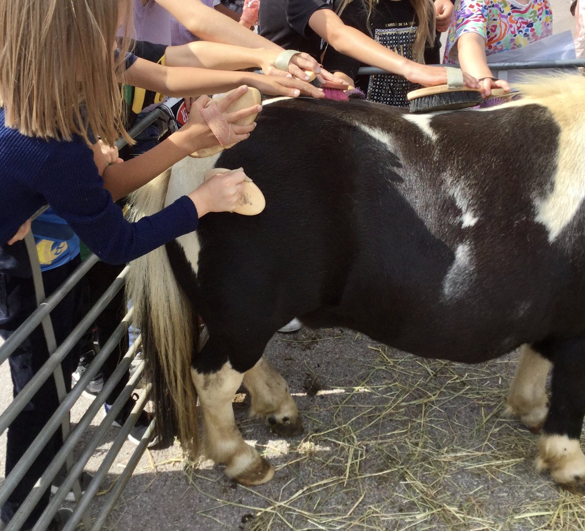 Freeman's Endowed - Year 4 tweet media