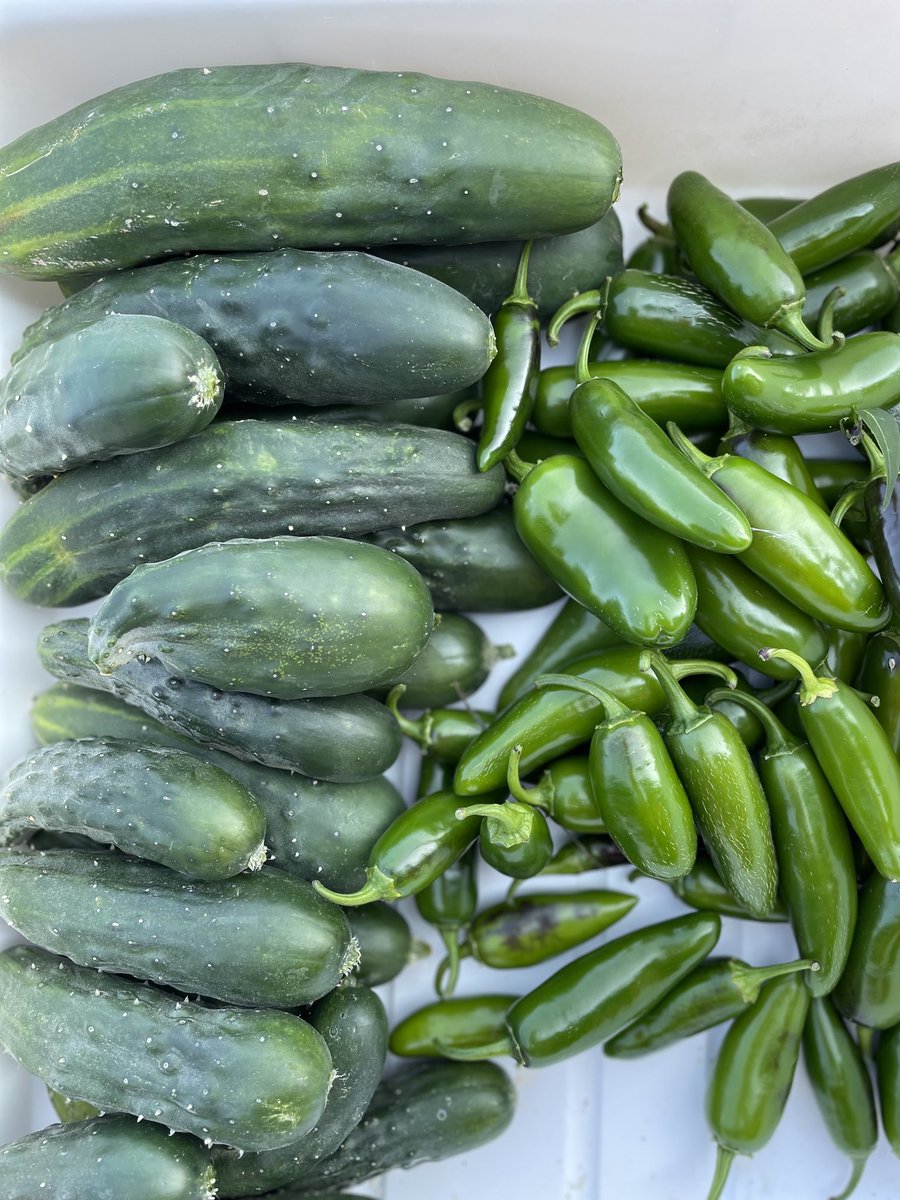 Laker Marketplace tweet media