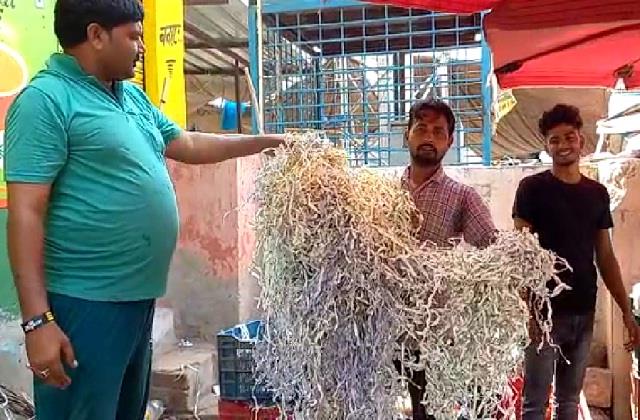 punjabkesari's tweet photo. अनार की पेटी में मिली 500 व 2000 के नोटों की कटिंग, देखकर दुकानदार रह गया हैरान
https://t.co/QSqQ9Ig0kn
#haryanahindinews #tohananews #notescutting #fruitboxes https://t.co/Xg0DJkpjVm