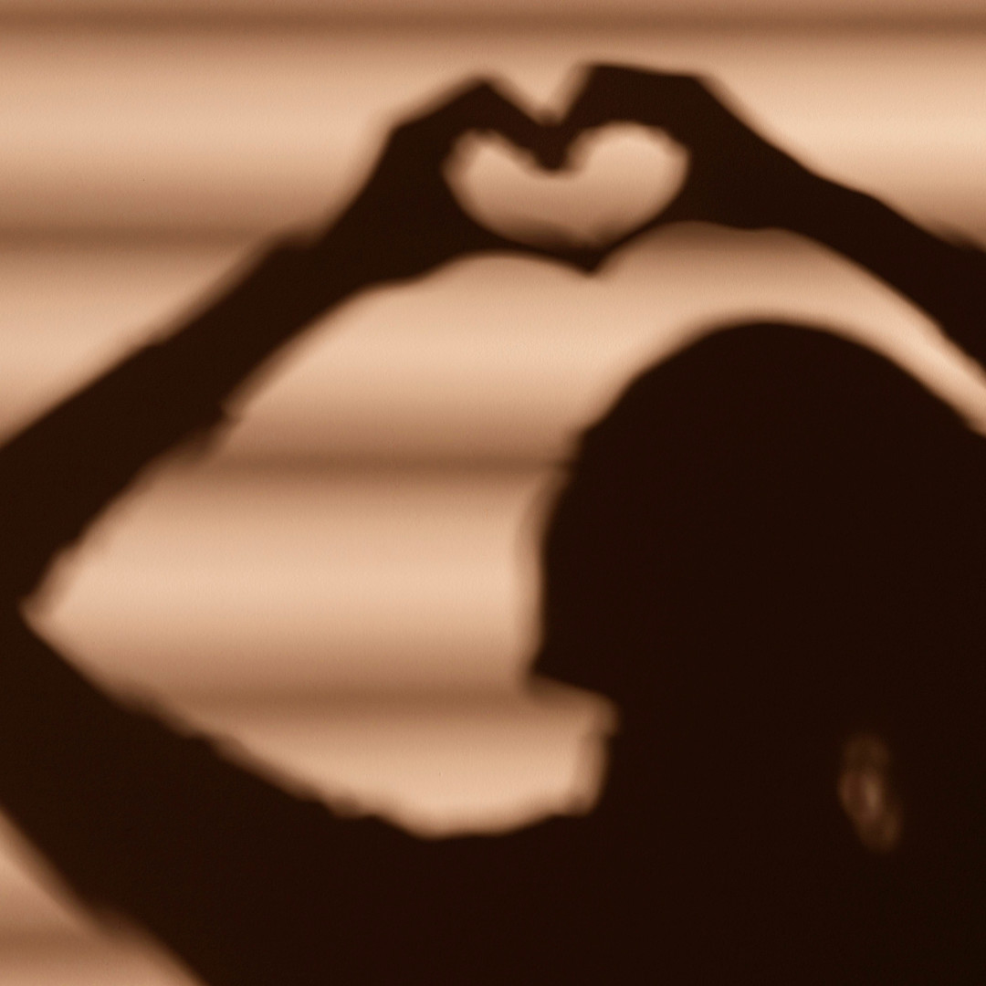 bewildhearted's tweet photo. “Everything of substance cast a shadow.” - Beatrice Chestnut ⁣⁣⁣
⁣⁣⁣
Embracing your shadow means acknowledging and accepting the parts of you that you had previously denied or rejected. 
⁣⁣⁣
Want to know more about the Enneagram? ⁣⁣Go here 👉 https://t.co/CwgzvIkiOx https://t.co/OaibjOtym5