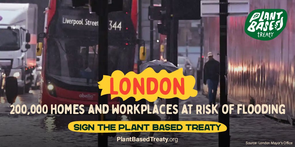 Toronto Chicken Save tweet media