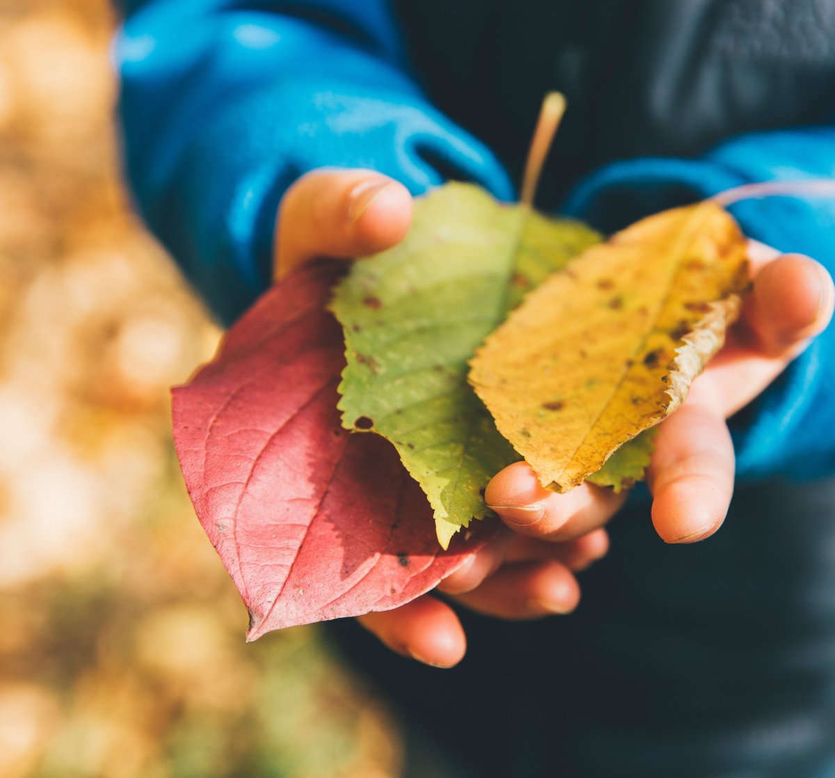 October children's program registration is now open on our website.  arnpriorlibrary.ca/youth-services…