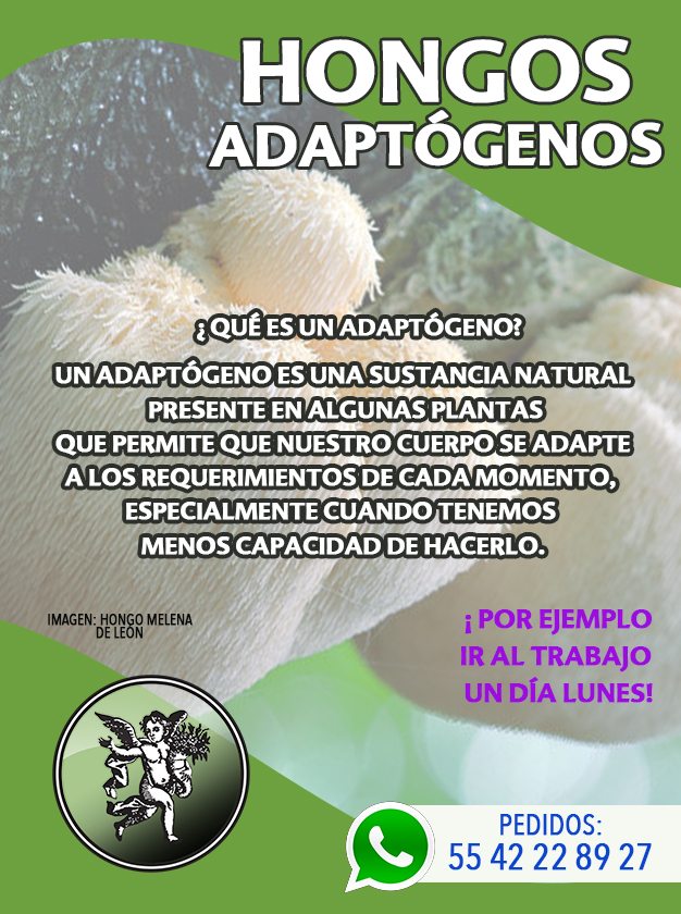 Lavoz_delangel's tweet photo. ¡ Es LUNES otra vez ! 🤦♂️🤷♀️
¡Fuera cansancio y stréss! 🤨
🍄 HONGOS ADAPTÓGENOS 🍄
MULTIHERBS : https://t.co/Wu3rSXvo5F
Lo encuentras en 🏫 sucursales de el ÁNGEL DE TU SALUD
Pedidos whatsapp📲 55 42 22 89 27
#adaptogenos #hongosadaptogenos #cordyceps https://t.co/vCsmLfcKgz