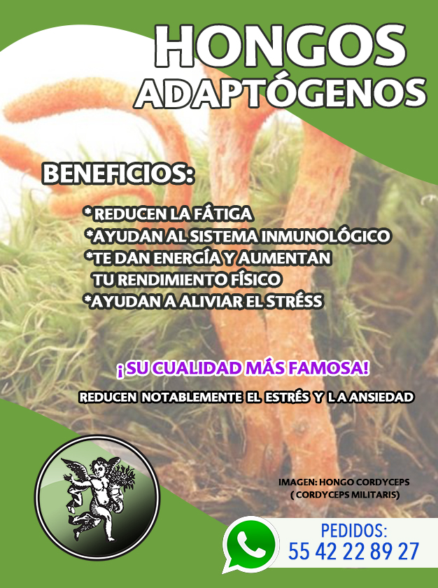 Lavoz_delangel's tweet photo. ¡ Es LUNES otra vez ! 🤦♂️🤷♀️
¡Fuera cansancio y stréss! 🤨
🍄 HONGOS ADAPTÓGENOS 🍄
MULTIHERBS : https://t.co/Wu3rSXvo5F
Lo encuentras en 🏫 sucursales de el ÁNGEL DE TU SALUD
Pedidos whatsapp📲 55 42 22 89 27
#adaptogenos #hongosadaptogenos #cordyceps https://t.co/vCsmLfcKgz