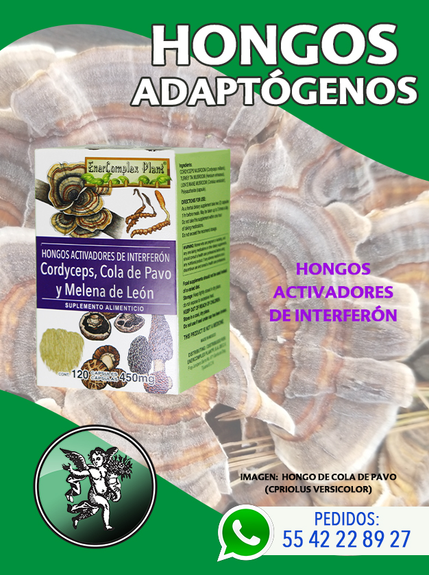 Lavoz_delangel's tweet photo. ¡ Es LUNES otra vez ! 🤦♂️🤷♀️
¡Fuera cansancio y stréss! 🤨
🍄 HONGOS ADAPTÓGENOS 🍄
MULTIHERBS : https://t.co/Wu3rSXvo5F
Lo encuentras en 🏫 sucursales de el ÁNGEL DE TU SALUD
Pedidos whatsapp📲 55 42 22 89 27
#adaptogenos #hongosadaptogenos #cordyceps https://t.co/vCsmLfcKgz