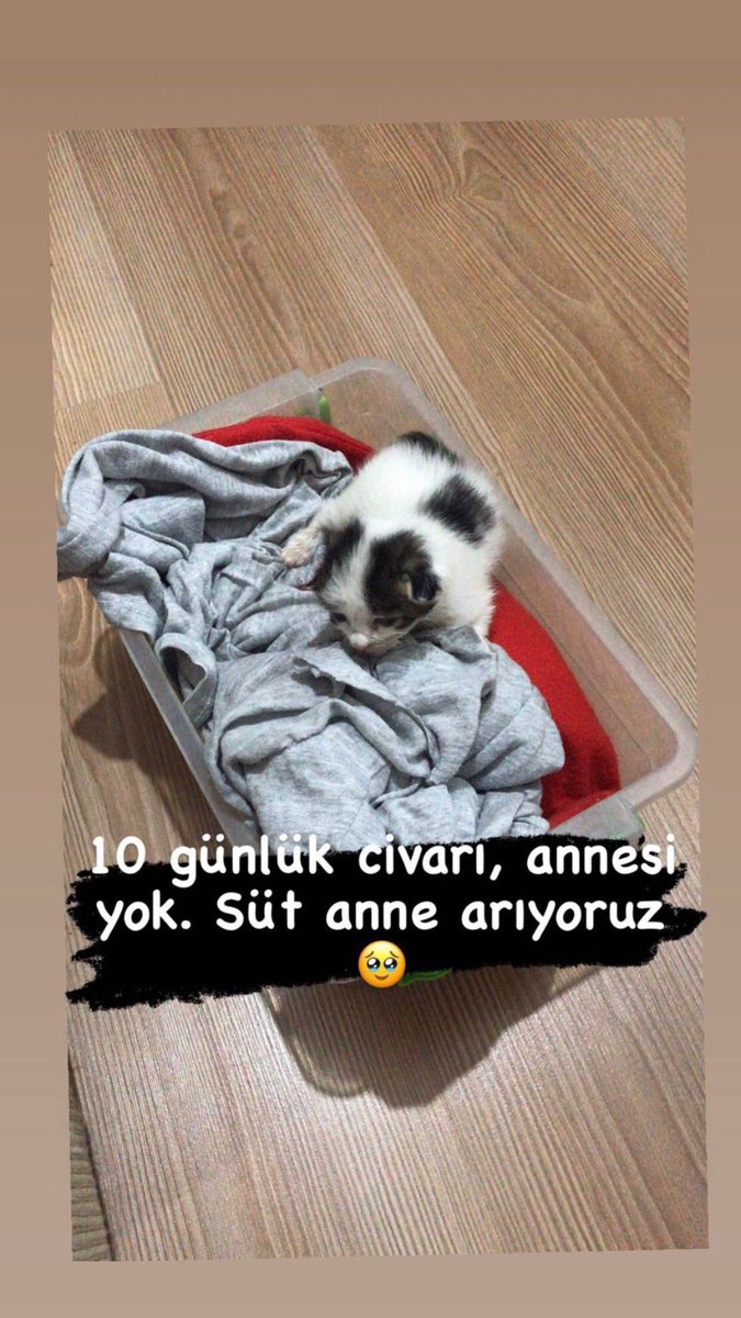 ssdemiroglu's tweet photo. @gunesebaksak Bizede yapabılırmı 🥹 https://t.co/GzyjBg5jTb