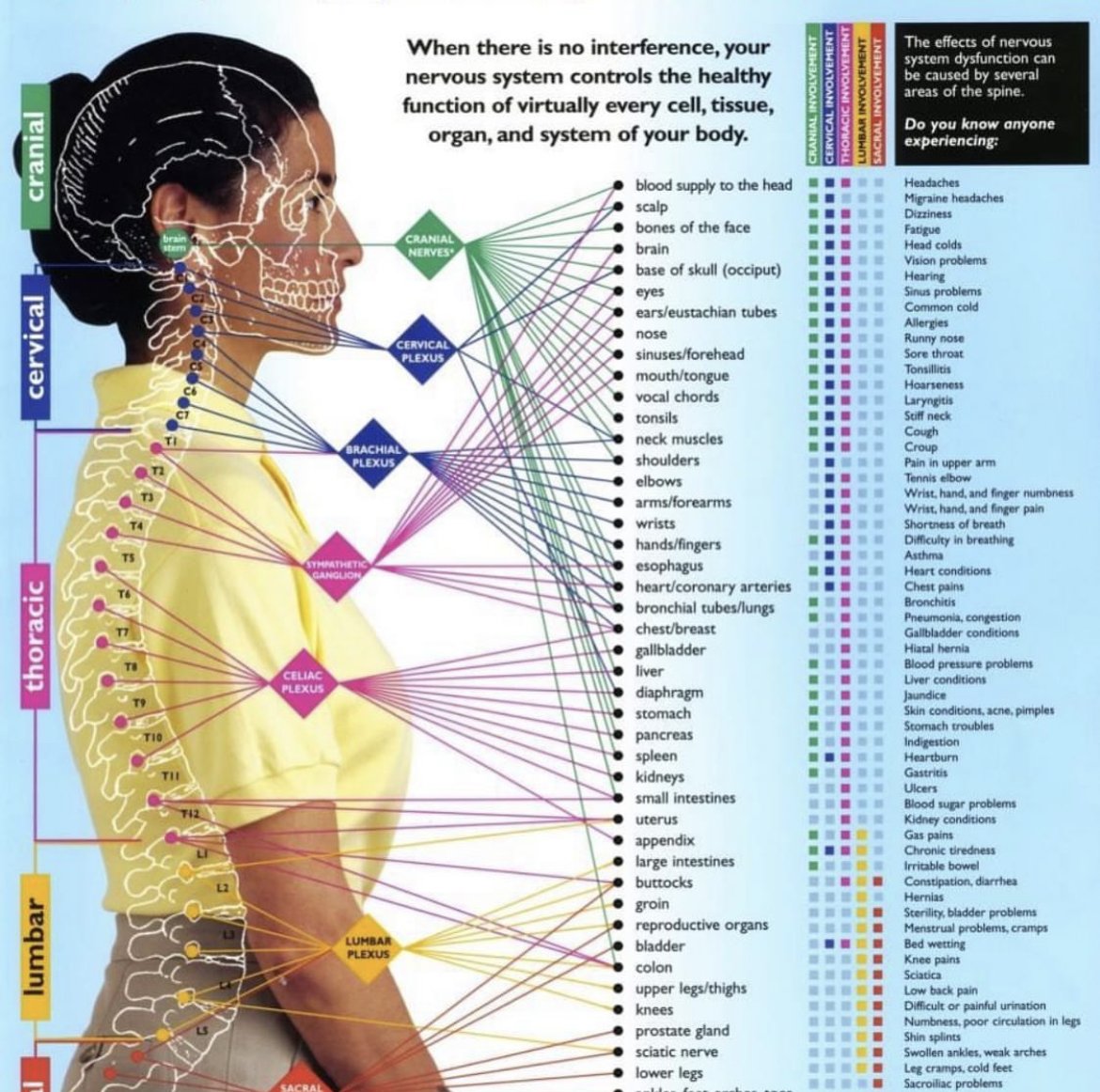 side_point's tweet photo. Taking care of your spine takes care of you.🙌 Chiropractic is gentle and it works!

Make an appointment with Trigo Chiropractic today!

#chiropractor #chiropractic #chiropracticadjustment #chiropracticwellness #trigochiropractic #flipside #flipsidepoint #huntingtonbeach https://t.co/vifaUEwTrC