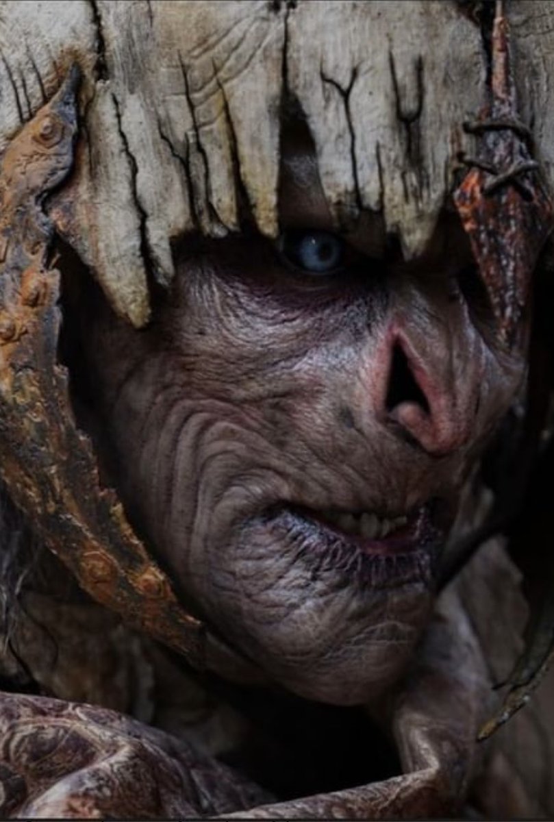 BrophyJed's tweet photo. Meet Vrath . He’s a Scorpio and very handy in the garden . Likes quiet nights at home watching villages burning and chasing elves 

@LOTRonPrime @theoneringnet @WetaWorkshop https://t.co/Xp8O472mUb