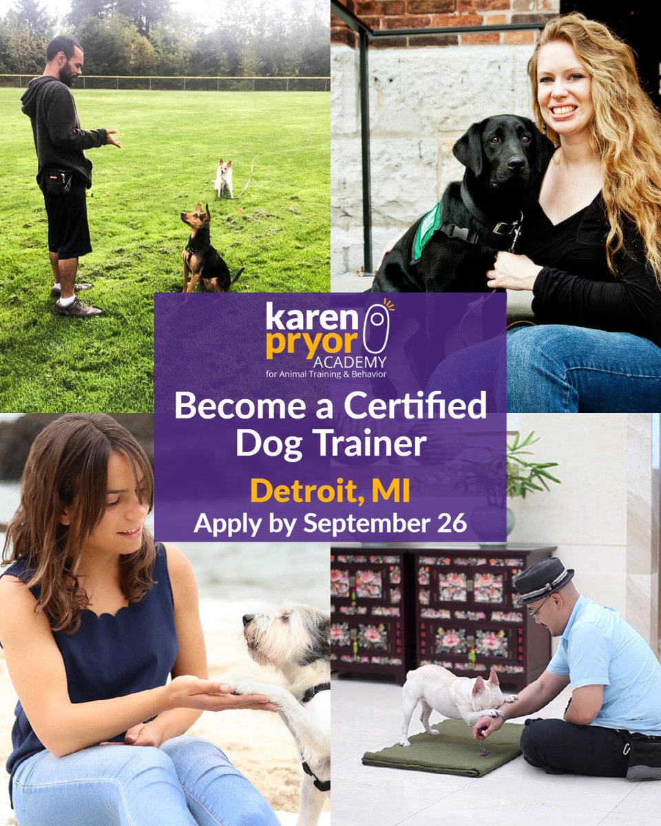 CIA_k9s's tweet photo. My Detroit area series for Karen Pryor Academy For Animal Training &amp; Behavior Professional program is closing soon! Now is the time to get your application in or to ask any remaining questions. This is a great program! Find link in bio or directly https://t.co/QJqB5gQsdc https://t.co/Ek4Xr5ngX8