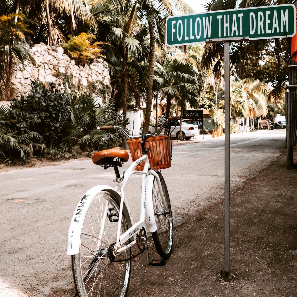 VireoTravels's tweet photo. Follow that dream 💭 https://t.co/dfPSEYgcNh