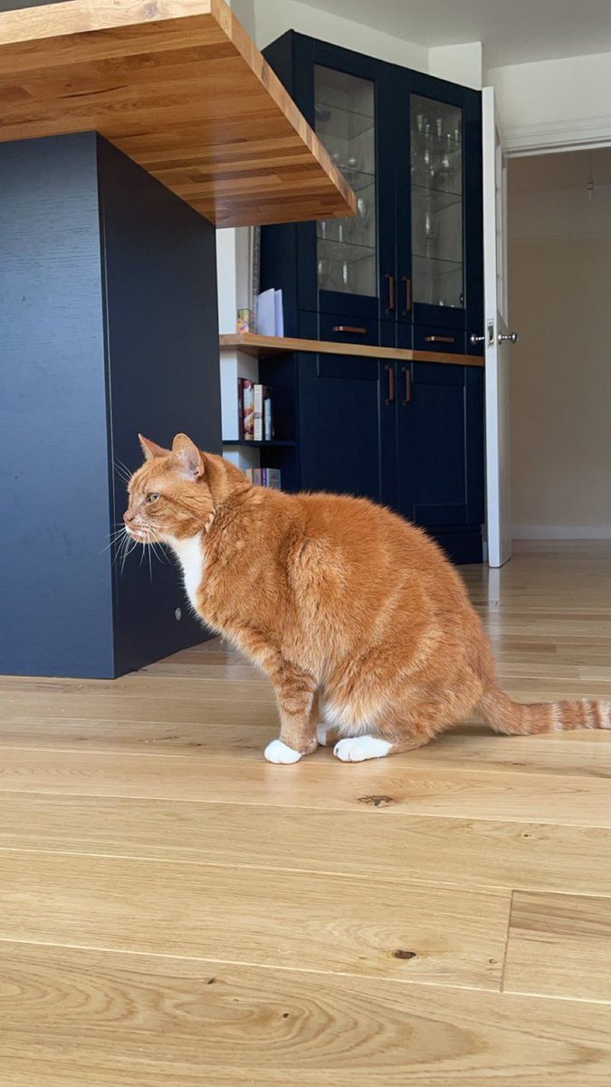 lunaticlesbian's tweet photo. #LiveLaughBognor @BogObserver look at him and VOTE TUBBO! https://t.co/MgvFbvO6pM