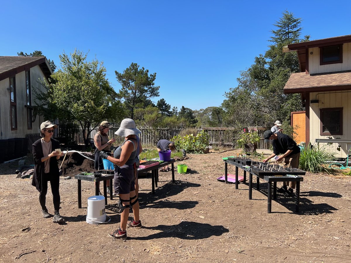 NHS students are tough; heatwaves can't stop 'em from planting seeds for a fall and winter food garden! #WorkingOutside #FoodJustice #UrbanAgroecology