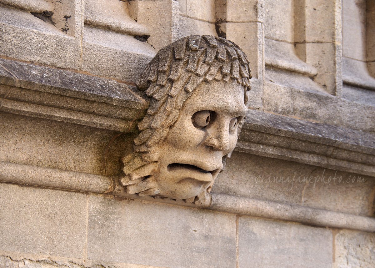 annaandthedead's tweet image. A thread of #grotesques I spotted on my weekend in #Oxford, just for fun. (Disclaimer: I have done no research on these).
1/ This guy looks very worried, perhaps because his lion neighbour has had a drainpipe shoved in his mouth.
(University Church of St Mary the Virgin)
