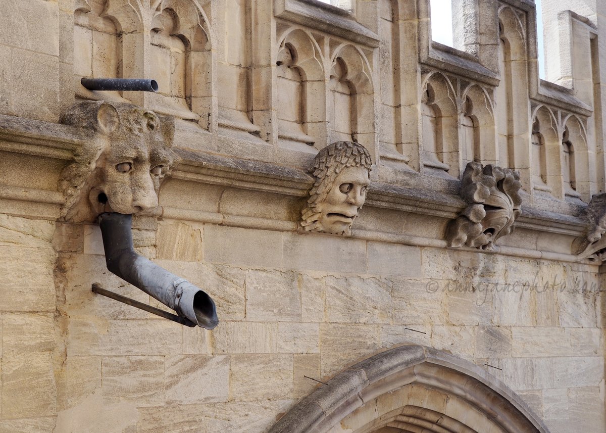 annaandthedead's tweet image. A thread of #grotesques I spotted on my weekend in #Oxford, just for fun. (Disclaimer: I have done no research on these).
1/ This guy looks very worried, perhaps because his lion neighbour has had a drainpipe shoved in his mouth.
(University Church of St Mary the Virgin)