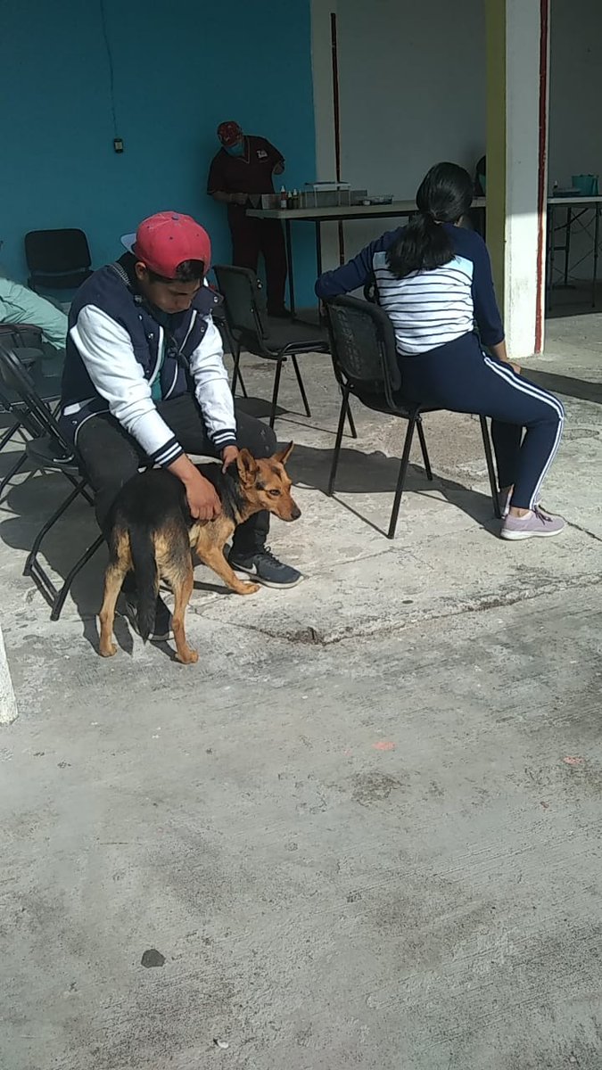 AngieAlvaradoJ's tweet photo. Gracias a todas y todos los ciudadanos que se sumaron a la jornada de esterilización 💉🩺 que se realizó este día en San Miguel Tianguizolco 👏. https://t.co/iT0G13RGf5