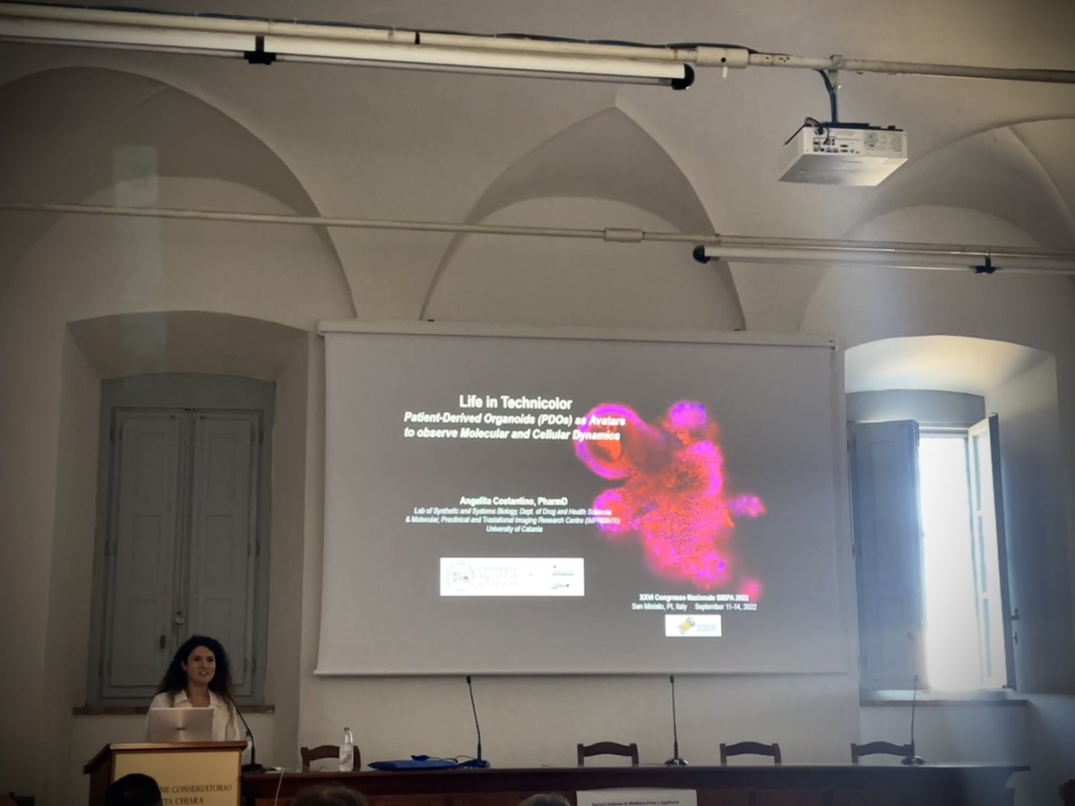 CostanAngelita's tweet photo. It was really exciting to present my #intestinalorganoids in live super-resolution #microscopy at @SIBPA_ !! https://t.co/yCB52CsxF0