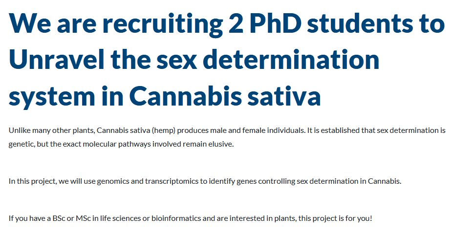 Andrea Chini (@andreachini8) on Twitter photo 