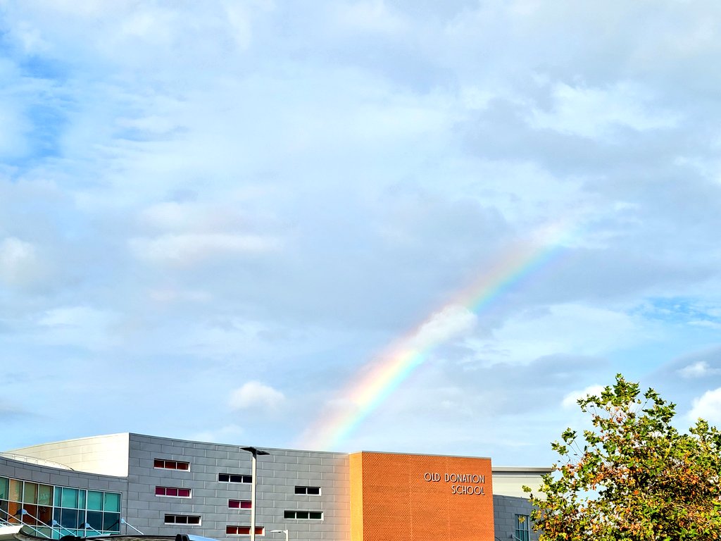 Jessie Comba (she/her) tweet media