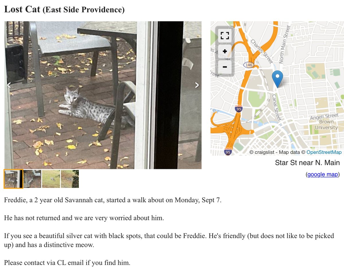 craigslist space coast lost pets - Roxanna Barrow