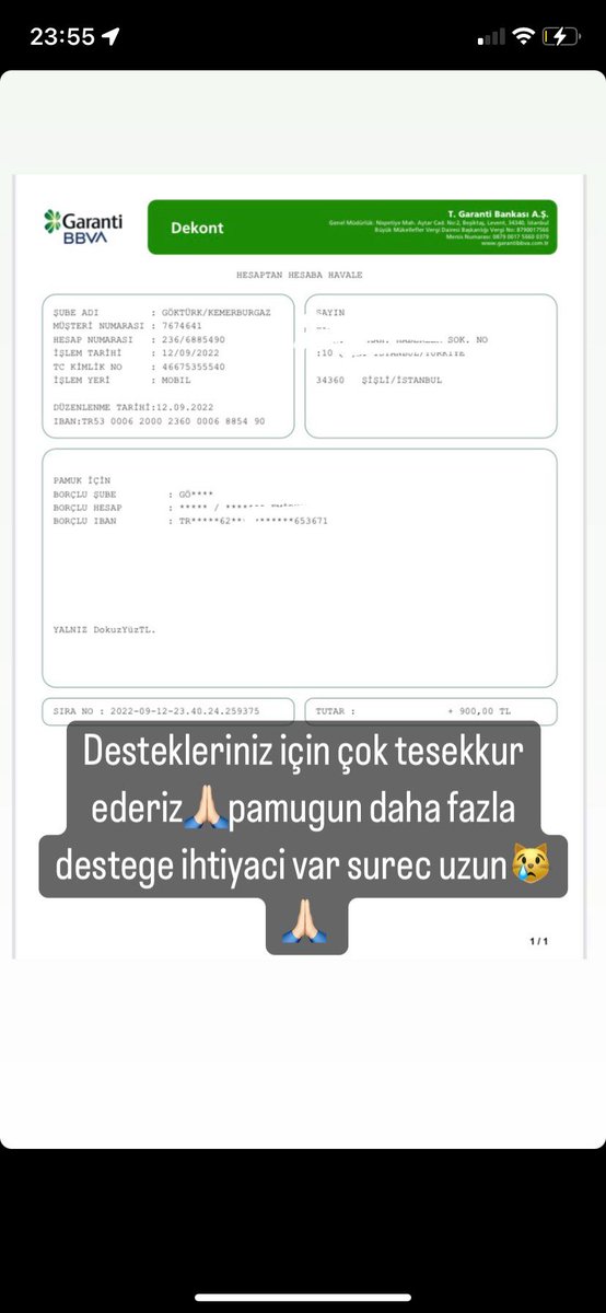 FipPamuk2022's tweet photo. Desteklerinizi hissetmeye başliyoruz, zorlu ve uzun surecte az cok demeden bizlere destek olmanıza ihtiyacimiz var🙏🙏 #fip #fiplikedi #pamuk #hayvanseverler  #fiplikedikalmasin https://t.co/0iGlcr9wof