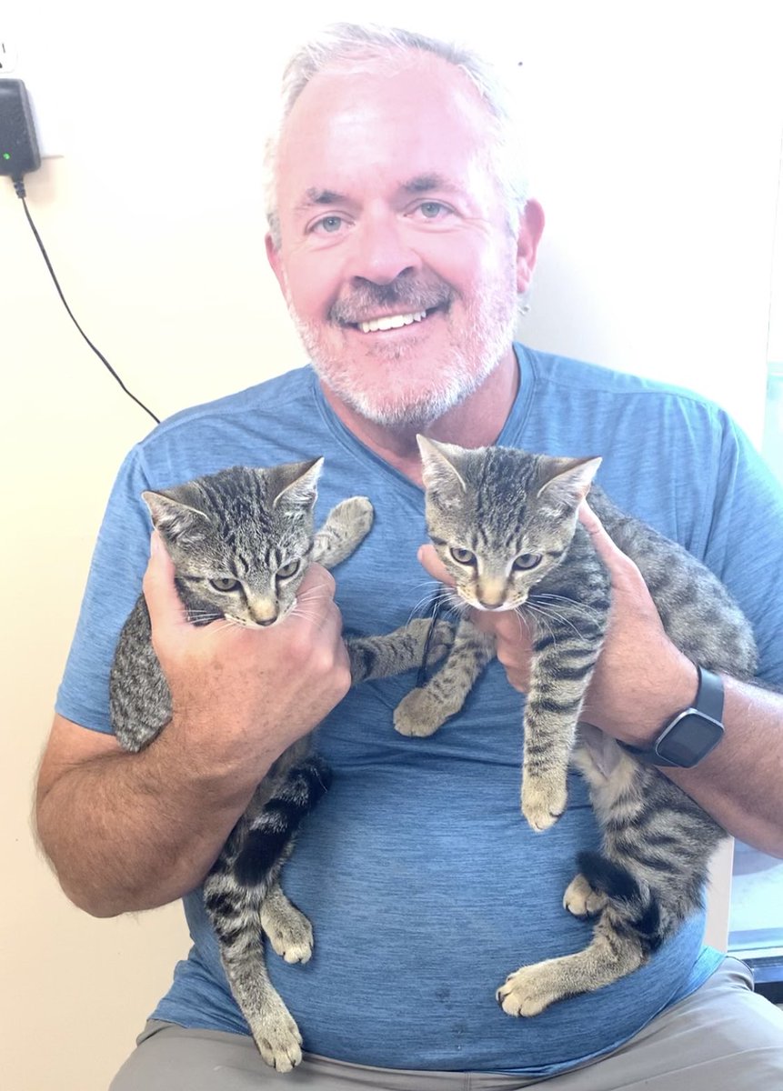 acdcpets's tweet photo. Saphira and Angela found their new daddy. These sweet girls will be well loved. Someone needs to come and adopt Arya, she’s the last of her litter. #BengalSpots #Eragon https://t.co/zNunxl1Np7