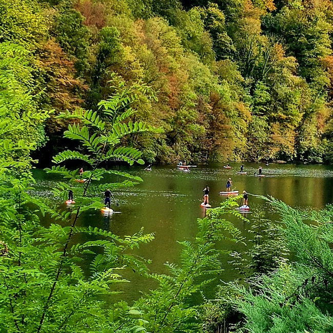 Magical colors of early autumn...
#alpstocoastsuptour