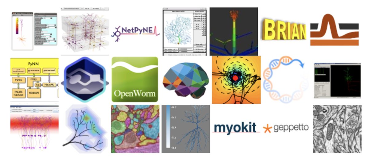 NeuroML's tweet image. We&apos;ve updated our list of all the #neuroscience applications for computational model development which support NeuroML: docs.neuroml.org/Userdocs/Softw…