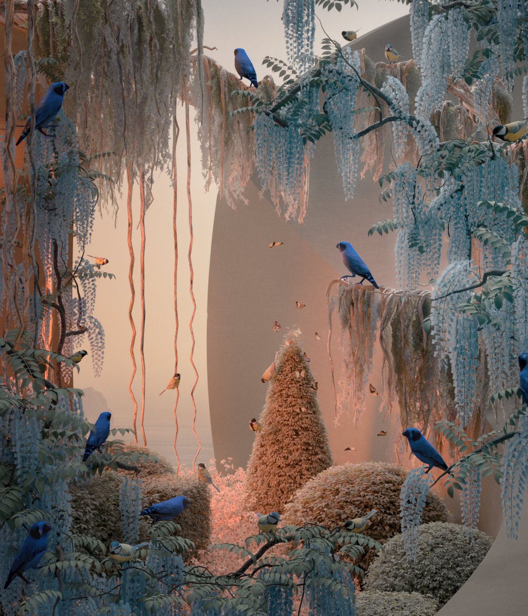 Studio Brasch tweet media