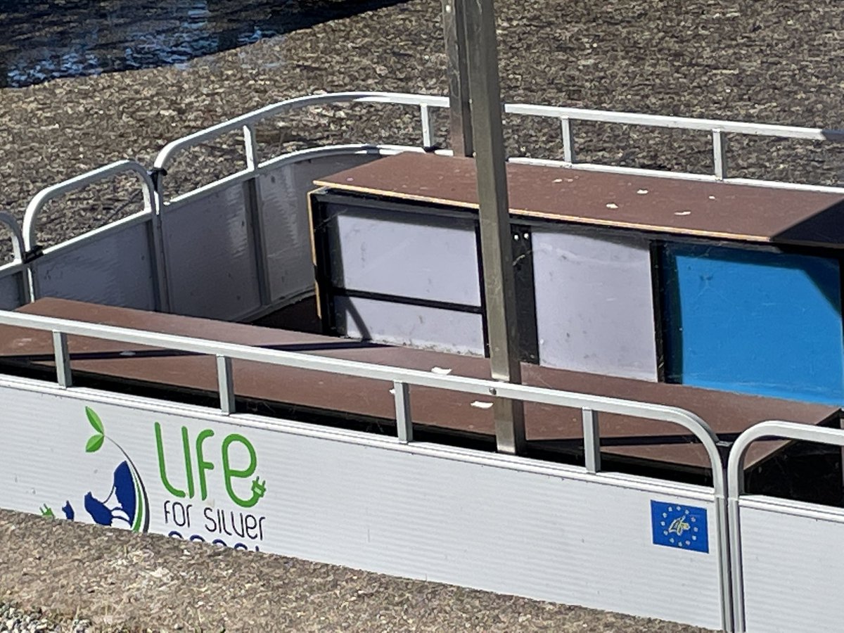 It’s always so nice to see a #littleblueflag! @LifeSilverCoast @CleanSeaLIFE #unitedLIFEpeople