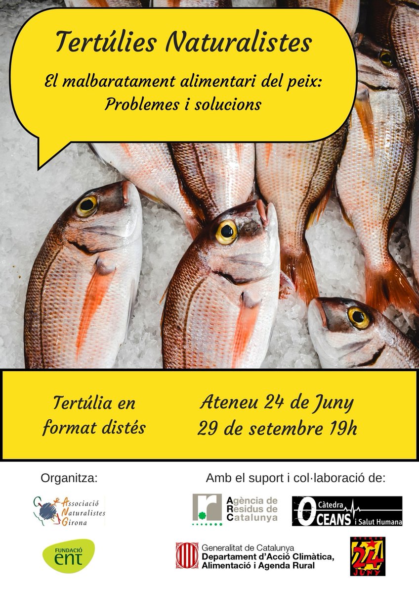 somnatus's tweet photo. ☕Propera Tertúlia Naturalista!

Us convidem a la xerrada que farem a @Ateneu24dejuny  el 29 de setembre a les 19h. Tractarem el consum responsable de peix i com aprofitar noves espècies que arriben a Catalunya amb @oceansalut  i @SOSpeix 

Amb el suport de @residus_cat https://t.co/s6y3pal91v