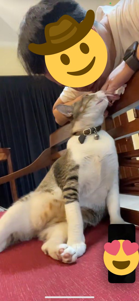Ladyyba's tweet photo. there are 3 of us in this relationship, so it’s a bit crowded 🫢 …not. Actually, there are 5 of us 😌👍
 @ulat_bulu_bulu @riusagusteau https://t.co/EtlBzIGnuY