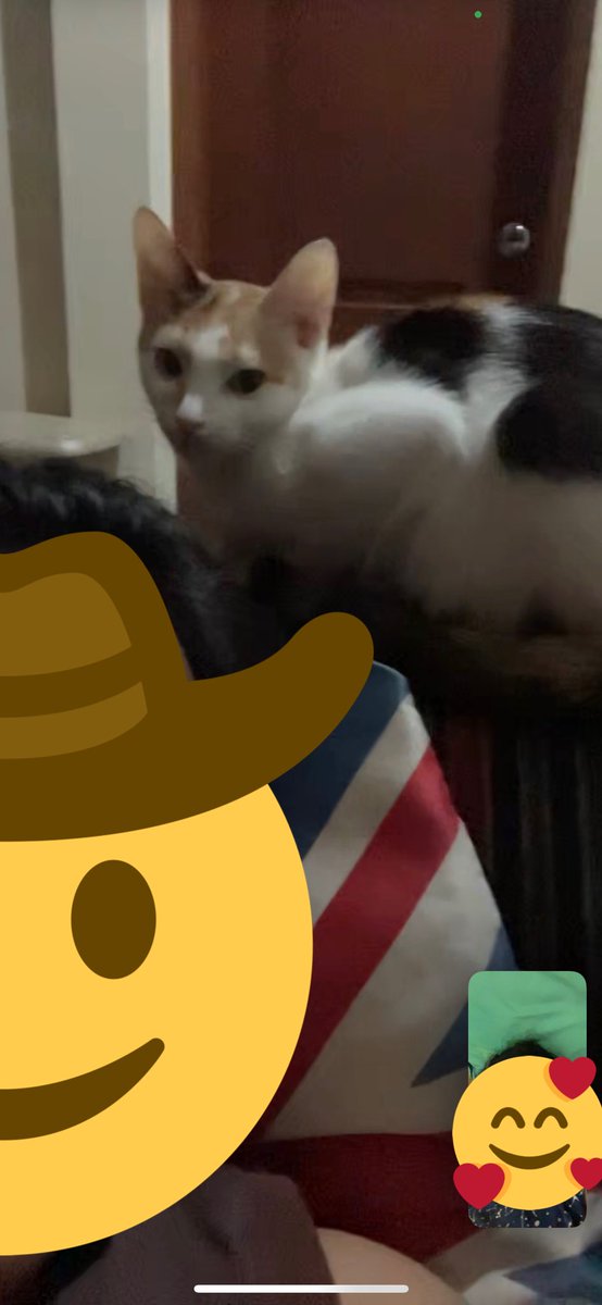 Ladyyba's tweet photo. there are 3 of us in this relationship, so it’s a bit crowded 🫢 …not. Actually, there are 5 of us 😌👍
 @ulat_bulu_bulu @riusagusteau https://t.co/EtlBzIGnuY