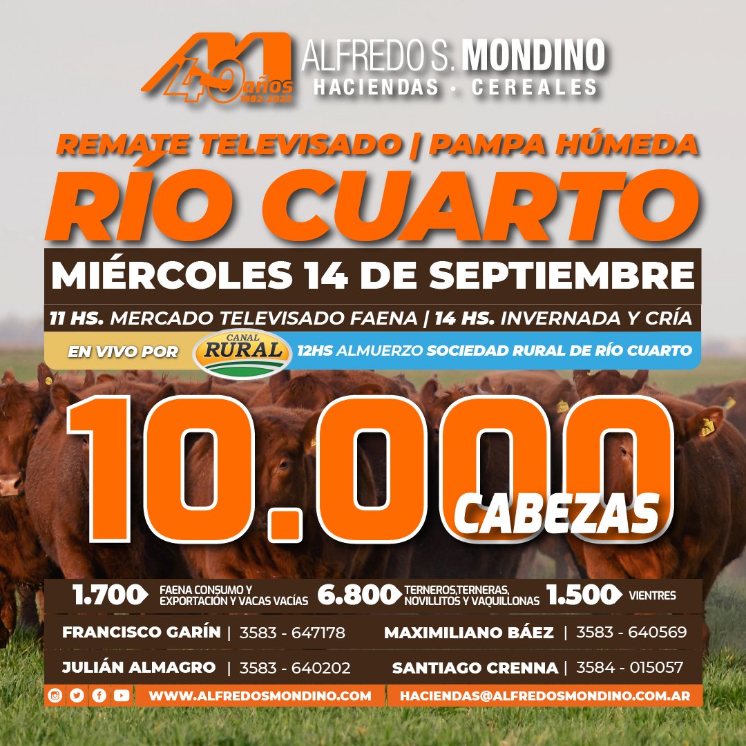 alfredosmondino's tweet photo. REMATE TELEVISADO RÍO CUARTO | PAMPA HÚMEDA | 10.000 CABEZAS🔥🐮📺

🗓Miércoles 14 de septiembre
🌐 Desde la @sruralriocuarto

👉 11:00 hs Primer Mercado Nacional Televisado de Hacienda pra faena y Vacas Vacias
👉 14:00 hs Invernada y Cría.

📺 @elrural y Streaming Youtube. https://t.co/gXbEiWSPnX