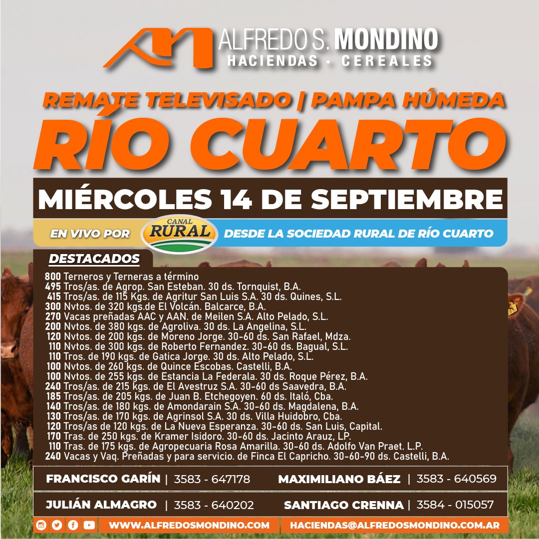 alfredosmondino's tweet photo. REMATE TELEVISADO RÍO CUARTO | PAMPA HÚMEDA | 10.000 CABEZAS🔥🐮📺

🗓Miércoles 14 de septiembre
🌐 Desde la @sruralriocuarto

👉 11:00 hs Primer Mercado Nacional Televisado de Hacienda pra faena y Vacas Vacias
👉 14:00 hs Invernada y Cría.

📺 @elrural y Streaming Youtube. https://t.co/gXbEiWSPnX