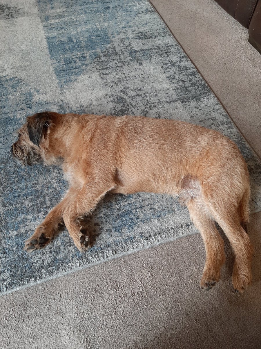 Lord Barney the BT tweet media