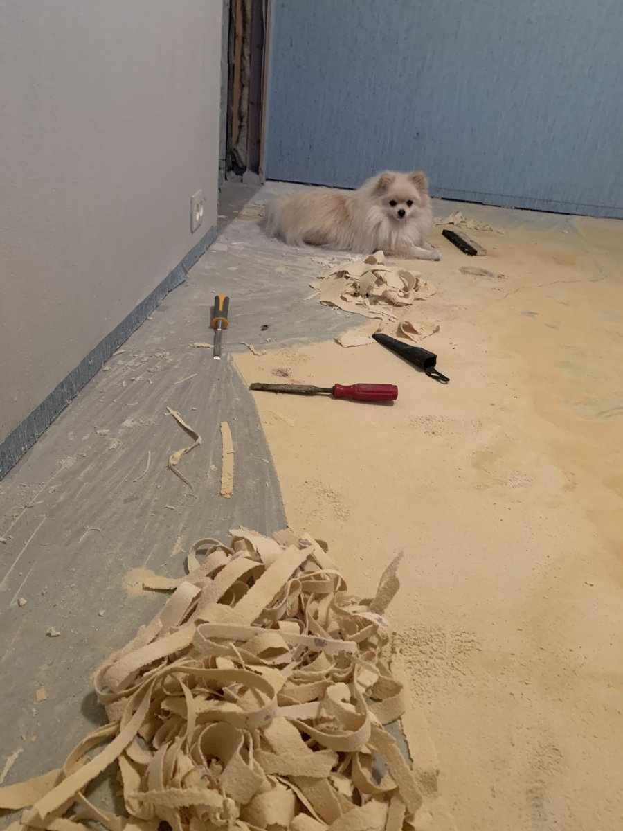 millifoxxx's tweet photo. @unstoppableweb when you try to build your future but someone hid the tools you need… #timeiswasted 👇🏼🦹🏼♀️ https://t.co/GszIbIAVUB