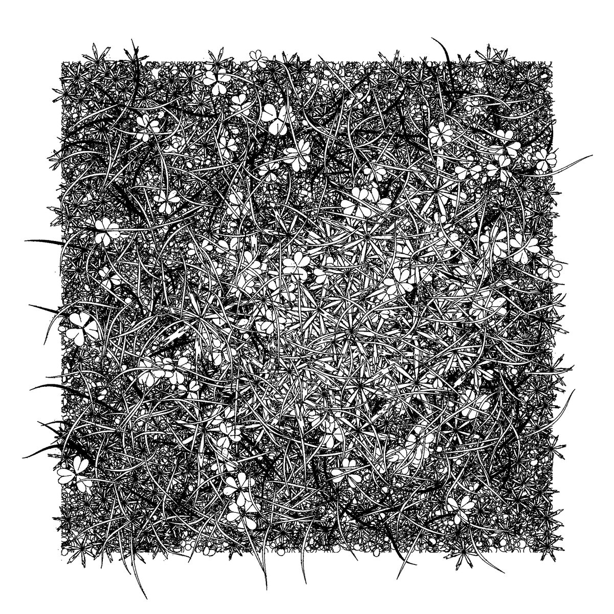 r1b2art's tweet photo. Aiming for more organic distributions....
#fxhash #p5js #generativeart #natureart #tezosnfts https://t.co/x8M5u2WVfD