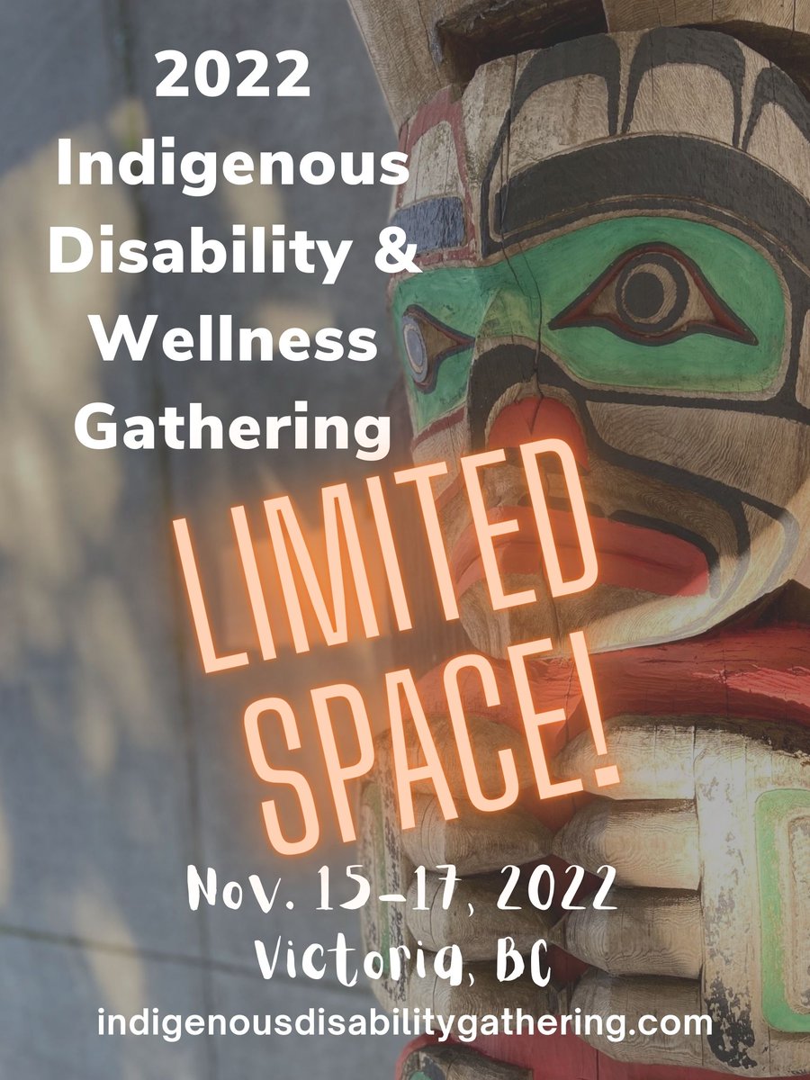 IDC Indigenous Disability Wellness Gathering tweet media