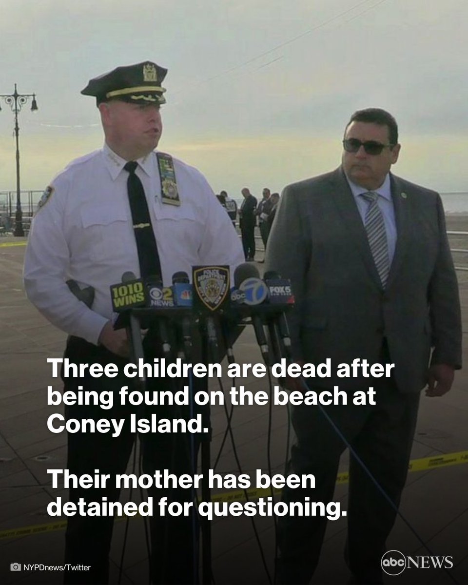 The grim discovery came at 4:42 a.m., about 90 minutes after police launched a frantic search for the children — whose 30-year-old mother was found soaking wet, barefoot and uncommunicative on the Coney Island Boardwalk, police say.

Full story: abcn.ws/3BwFakK