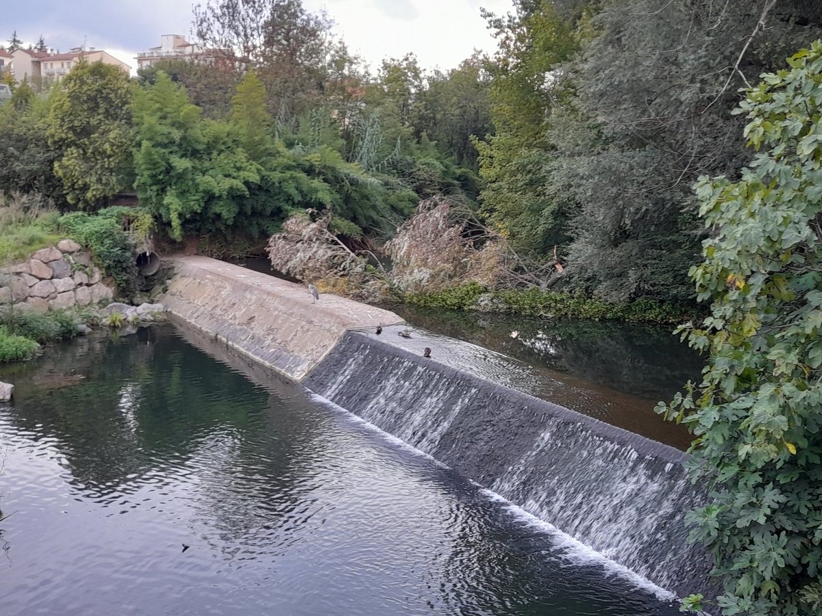 Markum_Almeida's tweet photo. @gencat l'Agència Catalana de l'Aigua té una tasca a fer al Fluvia. Aquesta branca comporta un perill i un risc facil de gestionar. @agentsruralscat @gencatgirona @Olotuit https://t.co/keQEiklWzw